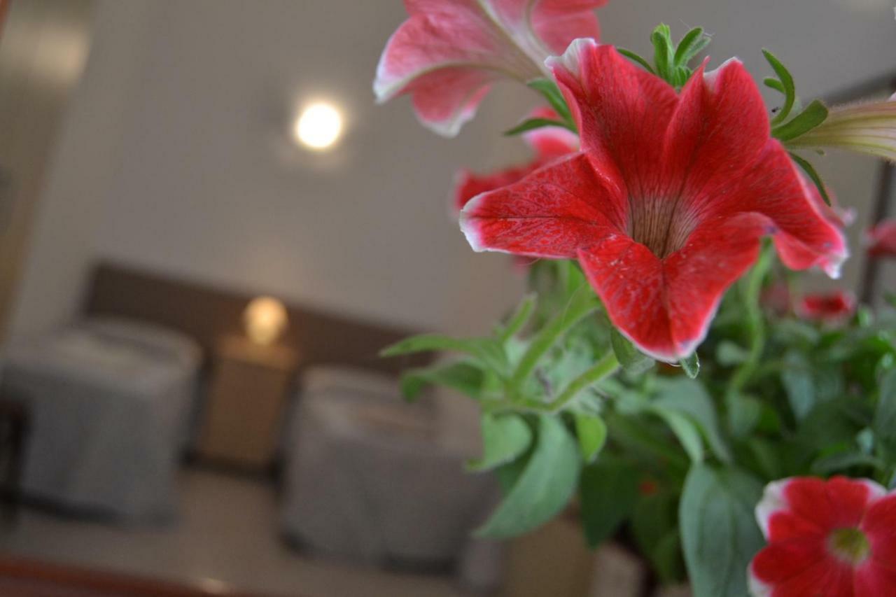 I Due Tesori Bed & Breakfast San Cesario di Lecce Exterior foto